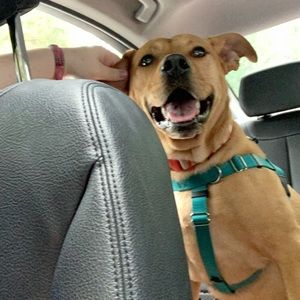 Meet your Posher, Caroline